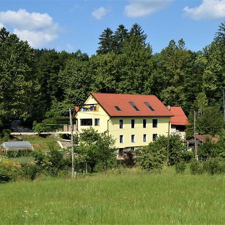 Apartmaji Maln Dolenjske Toplice Extérieur photo