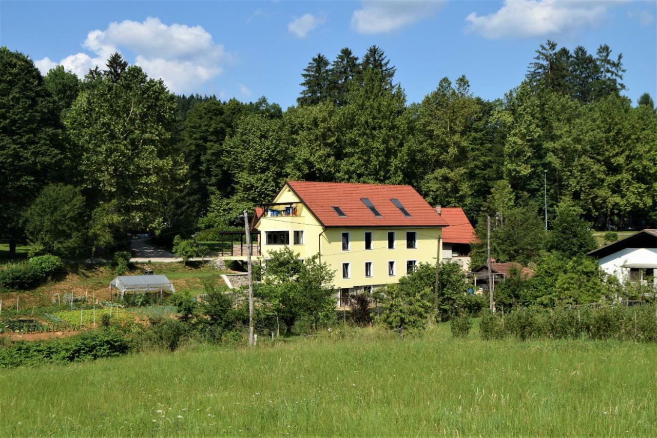 Apartmaji Maln Dolenjske Toplice Extérieur photo